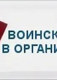 Реформа системы воинского учета: как автоматизация отчетности поможет работодателям избежать штрафов